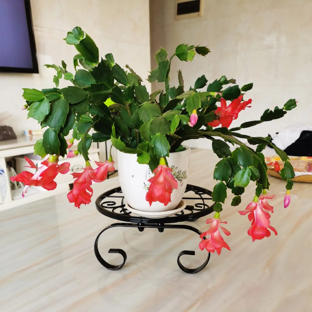 Flower Stand Patio Durable Garden Indoor Home Strong Storage Shelf Outdoor Heavy Duty Plant Stands
Flower Stand Patio Durable Garden Indoor Home Strong Storage Shelf Outdoor Heavy Duty Plant Stands