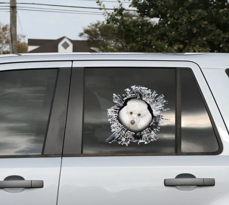 2021 Toy Poodle window sticker, car sticker, Toy Poodle car decal, funny sticker
2021 Toy Poodle window sticker, car sticker, Toy Poodle car decal, funny sticker