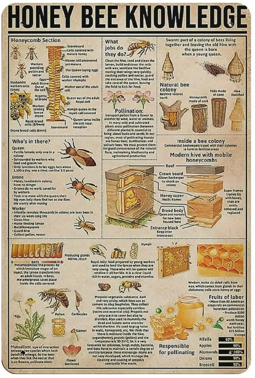 Металлический жестяной знак знания медовая пчела винтажный жестяной Плакат Металлический Знак настенное украшение для кантри кухни дома г...
Металлический жестяной знак знания медовая пчела винтажный жестяной Плакат Металлический Знак настенное украшение для кантри кухни дома г...