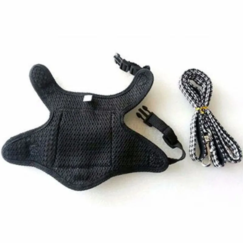 Pet Dog Harness and Leash Set Outdoor Dog Harness Vest Pets Accessories for Small Dogs Puppy Cat Chest Strap Walking Lead Leash
Pet Dog Harness and Leash Set Outdoor Dog Harness Vest Pets Accessories for Small Dogs Puppy Cat Chest Strap Walking Lead Leash