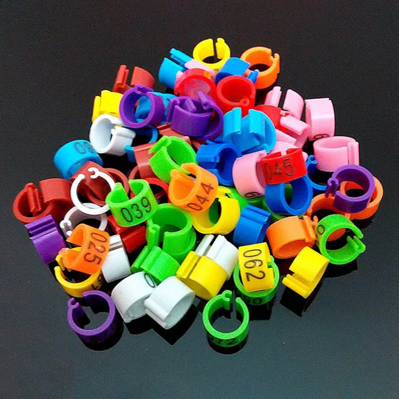 100Pcs/Pack Plastic Chicken Foot Ring Multipurpose Digital Label Buckle for Chick Duck Goose
100Pcs/Pack Plastic Chicken Foot Ring Multipurpose Digital Label Buckle for Chick Duck Goose
