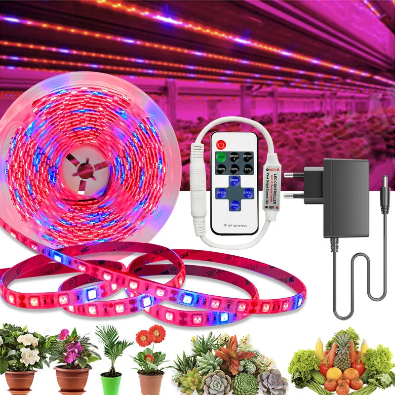 20M 15M 10M 5M Plant LED Grow Light 4:1 Full LED Spectrum Grow Light Strip SMD DC 12V LED Phyto Tape for Flowers Greenhouses
20M 15M 10M 5M Plant LED Grow Light 4:1 Full LED Spectrum Grow Light Strip SMD DC 12V LED Phyto Tape for Flowers Greenhouses