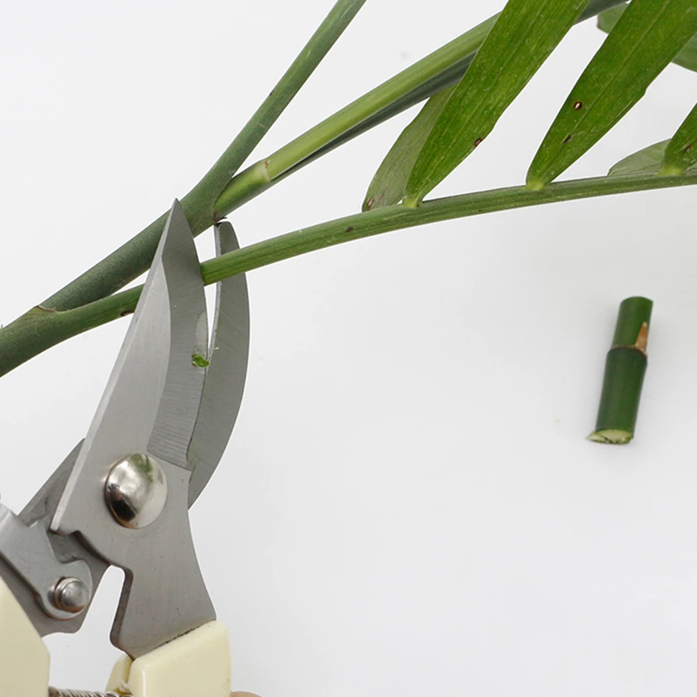 Scissor Stainless Steel Cutting Tools Set Home Tools Anti-slip Pruner Tree Cutter Gardening Pruning Shear Garden Tools
Scissor Stainless Steel Cutting Tools Set Home Tools Anti-slip Pruner Tree Cutter Gardening Pruning Shear Garden Tools