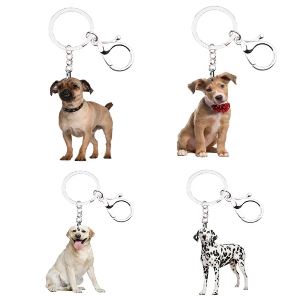 Dog Keychain Llavero de perro 4pcs/set Animal NOT 3D Chaveiro de Cachorro for friends Boyfriend Gift idea on The Backpack Anime
Dog Keychain Llavero de perro 4pcs/set Animal NOT 3D Chaveiro de Cachorro for friends Boyfriend Gift idea on The Backpack Anime