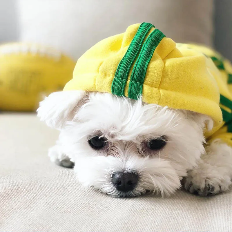 Pet Clothes French Bulldog Puppy Dog Costume Pet Jumpsuit Chihuahua Pug Pets Dogs Clothing for Small Medium Dogs Puppy Outfit
Pet Clothes French Bulldog Puppy Dog Costume Pet Jumpsuit Chihuahua Pug Pets Dogs Clothing for Small Medium Dogs Puppy Outfit
