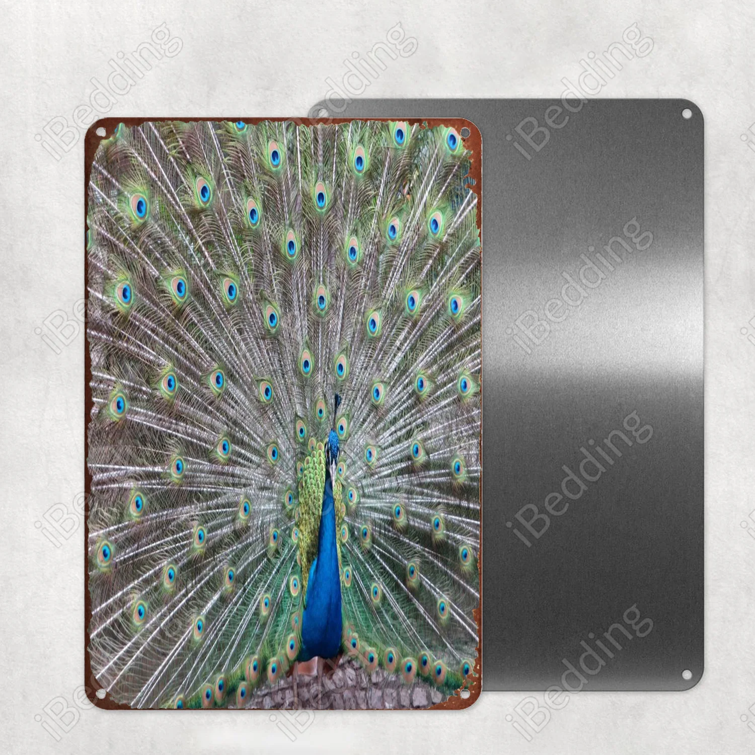 blue green peacock Vintage Plaque Metal Retro Tin Sign Bar Pub Club Wall Decor Iron Painting Decorative 20x30cm Plate 
blue green peacock Vintage Plaque Metal Retro Tin Sign Bar Pub Club Wall Decor Iron Painting Decorative 20x30cm Plate