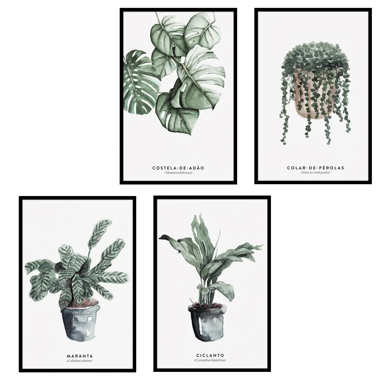 Potted Plant Wall Stickers for Home Decor Living Room Kitchen PVC DIY Wall Decals Nordic Style Mural Room Decoration
Potted Plant Wall Stickers for Home Decor Living Room Kitchen PVC DIY Wall Decals Nordic Style Mural Room Decoration