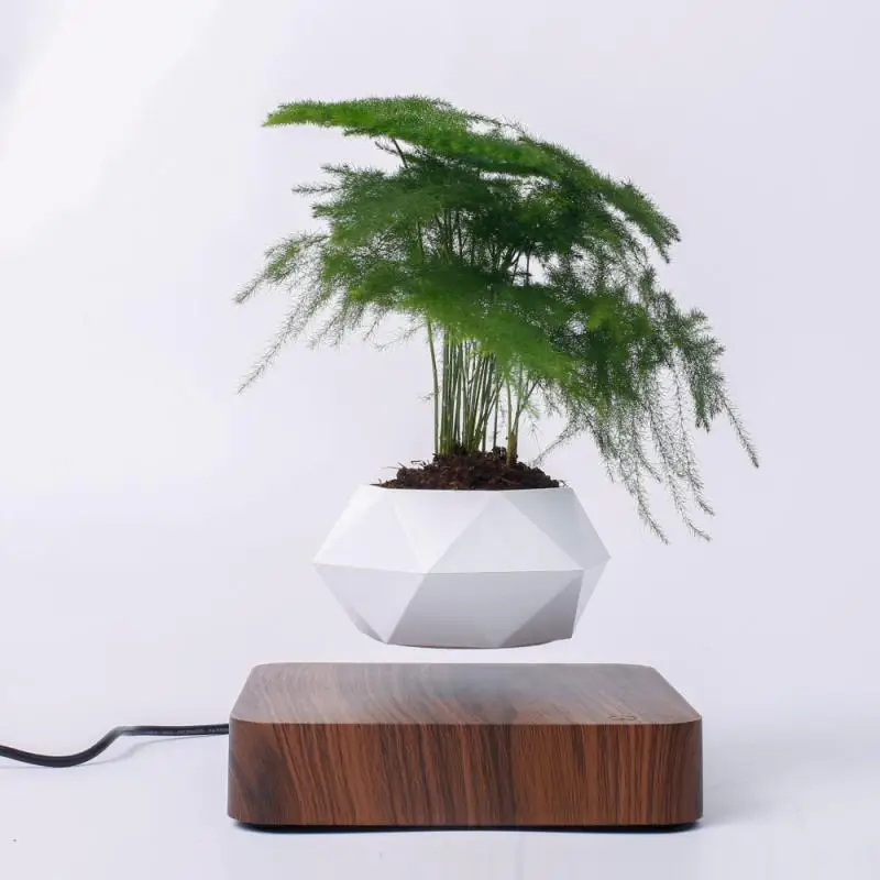Levitating Air Bonsai Pot Rotation 360 Flower Pot Planters Magnetic Suspension Floating Pot Potted Plant Home Desk Decor
Levitating Air Bonsai Pot Rotation 360 Flower Pot Planters Magnetic Suspension Floating Pot Potted Plant Home Desk Decor