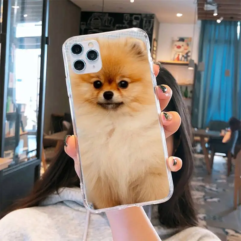 Pomeranian dogs dog cute animal Phone Case Transparent for iPhone 6 7 8 11 12 s mini pro X XS XR MAX Plus
Pomeranian dogs dog cute animal Phone Case Transparent for iPhone 6 7 8 11 12 s mini pro X XS XR MAX Plus