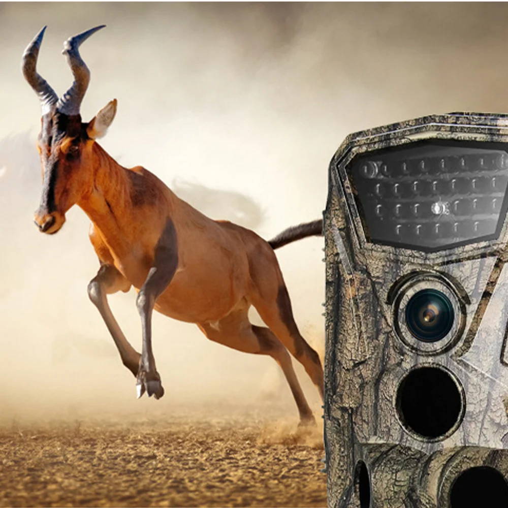 1080P Tracking Camera 25 Frames Camera 0.5s Trigger Infrared Wildlife Reconnaissance Camera Night Vision Trap Hu
1080P Tracking Camera 25 Frames Camera 0.5s Trigger Infrared Wildlife Reconnaissance Camera Night Vision Trap Hu