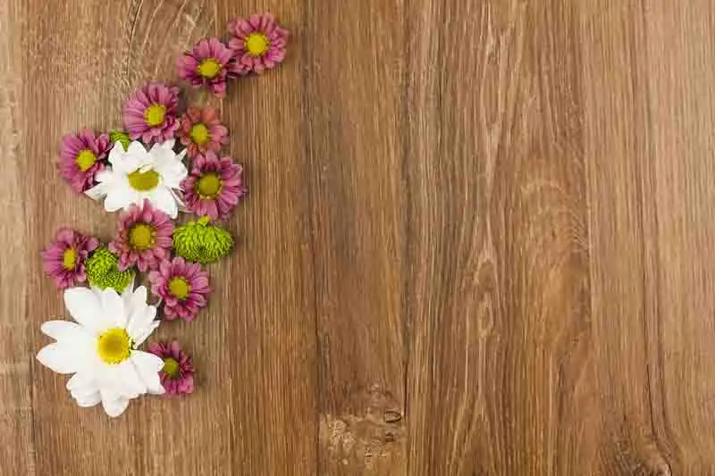 SHENGYONGBAO Art Fabric Custom Photography Prop Flower Wood Planks theme Photo Studio Background S191025-282155
SHENGYONGBAO Art Fabric Custom Photography Prop Flower Wood Planks theme Photo Studio Background S191025-282155