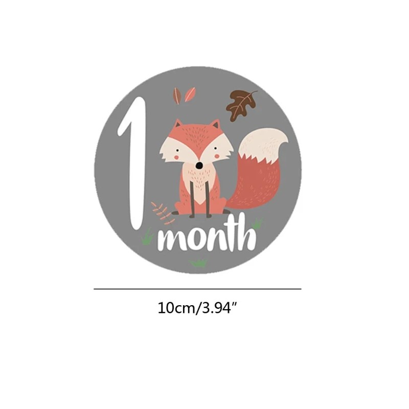 12Pcs Month Sticker Baby Photography Milestone Card Newborn Monthly Commemorative Stickers Props
12Pcs Month Sticker Baby Photography Milestone Card Newborn Monthly Commemorative Stickers Props