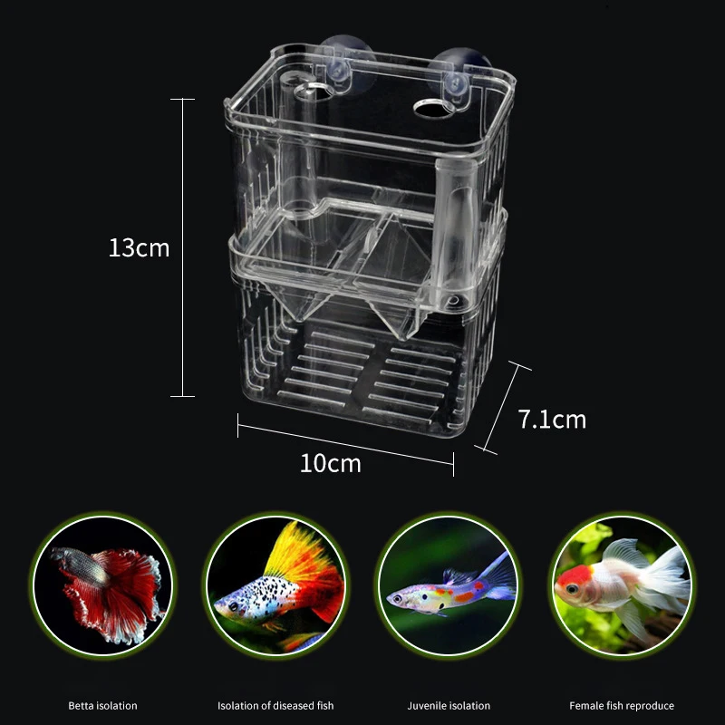 1pcs Fish Breeding Isolation Box Incubator Aquarium Breeder Box Spawning Hatching Room For Aquarium Multifunctional Accessories
1pcs Fish Breeding Isolation Box Incubator Aquarium Breeder Box Spawning Hatching Room For Aquarium Multifunctional Accessories