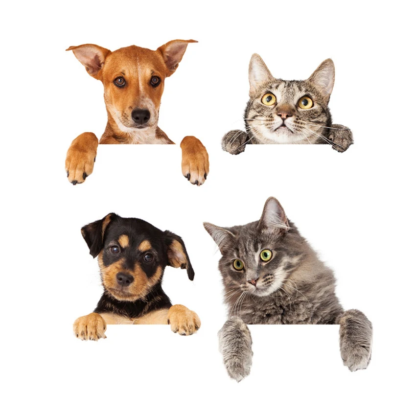 1PC/Set cat dog sticker Bathroom 4 in 1, living room, fridge decoration stickers, wall sticker PVC waterproof switch stickers
1PC/Set cat dog sticker Bathroom 4 in 1, living room, fridge decoration stickers, wall sticker PVC waterproof switch stickers