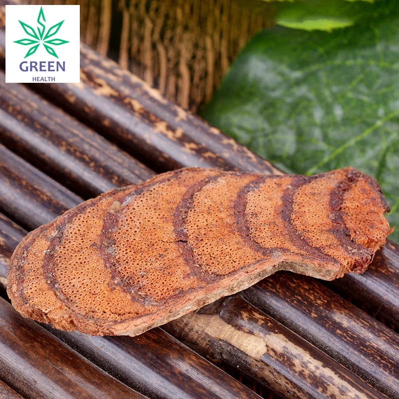 Ji Xue Teng / Spatholobus, Millettia Root and Vine
Ji Xue Teng / Spatholobus, Millettia Root and Vine