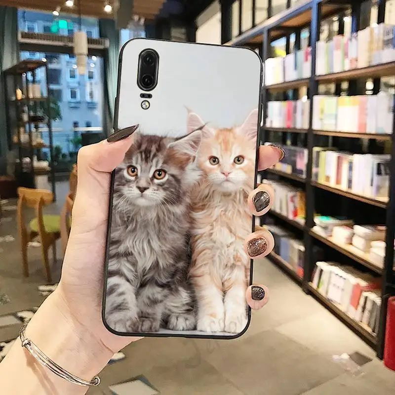 cat pet maine coon animal universal Phone Case For Huawei honor Mate P 10 20 30 40 Pro 10i 9 10 20 8 x Lite
cat pet maine coon animal universal Phone Case For Huawei honor Mate P 10 20 30 40 Pro 10i 9 10 20 8 x Lite