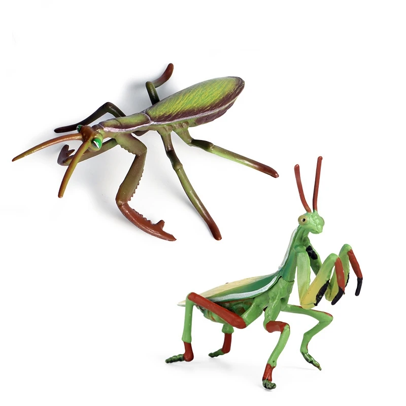 Simulation Animal Insect Model Mini Animal Praying Mantis Ornaments Kids Cognitive Educational Toy for Children
Simulation Animal Insect Model Mini Animal Praying Mantis Ornaments Kids Cognitive Educational Toy for Children