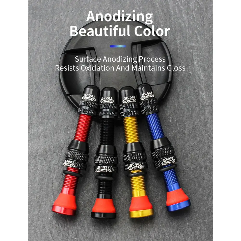 Aluminum Alloy Valve Core Set Mountain Road Bike Tubeless Replacement Valve Core Repair Part
Aluminum Alloy Valve Core Set Mountain Road Bike Tubeless Replacement Valve Core Repair Part