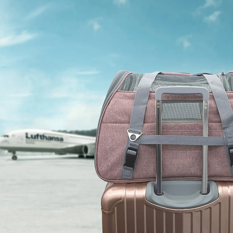 Pet Bag Portable Dog Cat Carrier Bag Pet Puppy Travel Bags Breathable Mesh Small Dog Cat Chihuahua Carrier Outgoing Pets Handbag
Pet Bag Portable Dog Cat Carrier Bag Pet Puppy Travel Bags Breathable Mesh Small Dog Cat Chihuahua Carrier Outgoing Pets Handbag