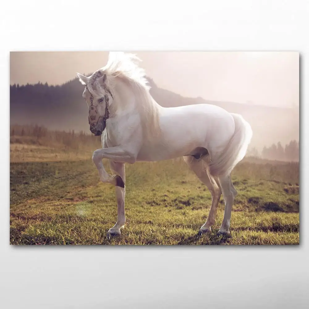Animal Horse Landscape paintings Wallpaper Posters and Prints Canvas Wall Art For Living Room Decor
Animal Horse Landscape paintings Wallpaper Posters and Prints Canvas Wall Art For Living Room Decor