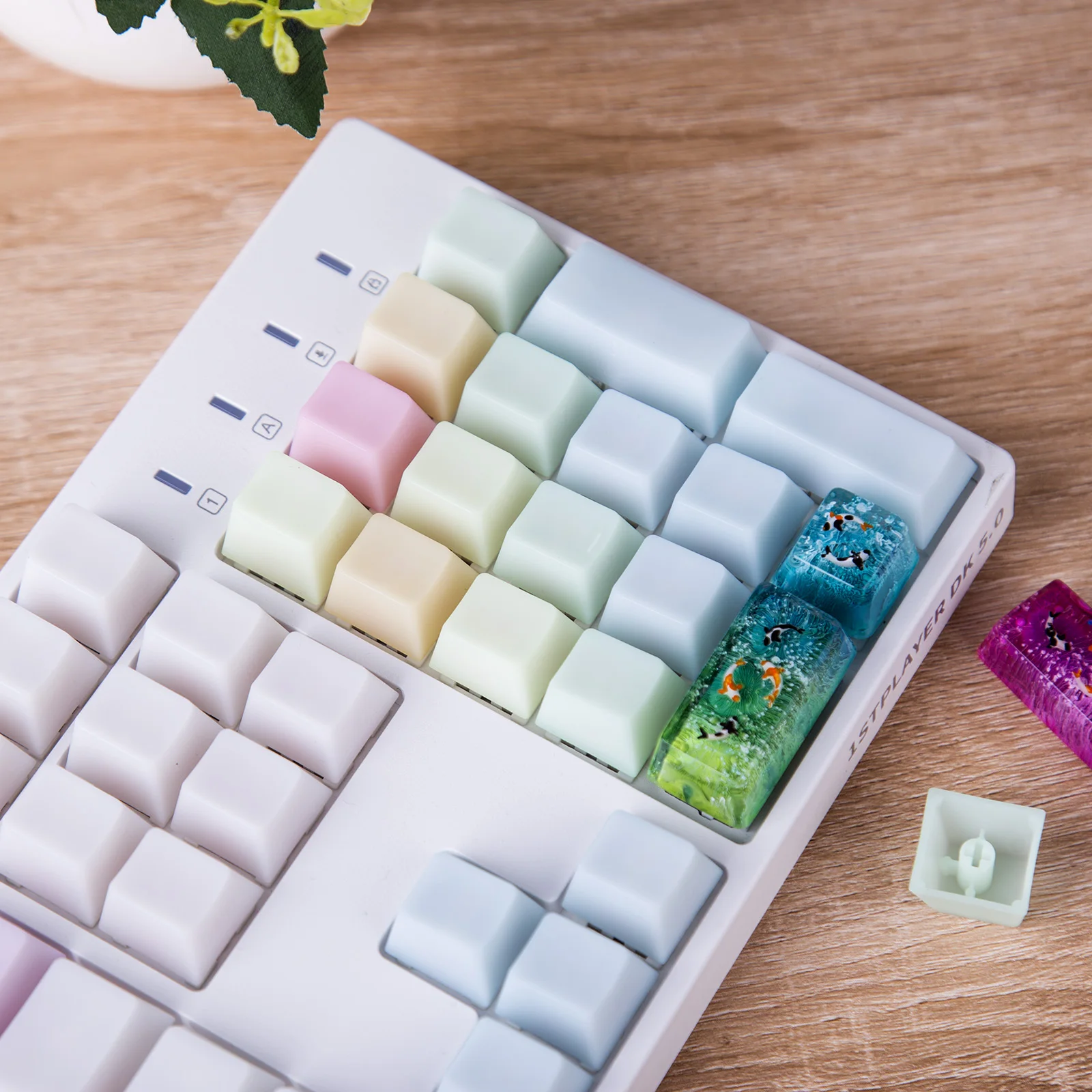 POM Jelly Keycaps Doubleshot Translucent OEM Profile Keycaps For DIY 60%/ 87 TKL / 104 / 108 MX Switch Mechanical Keyboard
POM Jelly Keycaps Doubleshot Translucent OEM Profile Keycaps For DIY 60%/ 87 TKL / 104 / 108 MX Switch Mechanical Keyboard