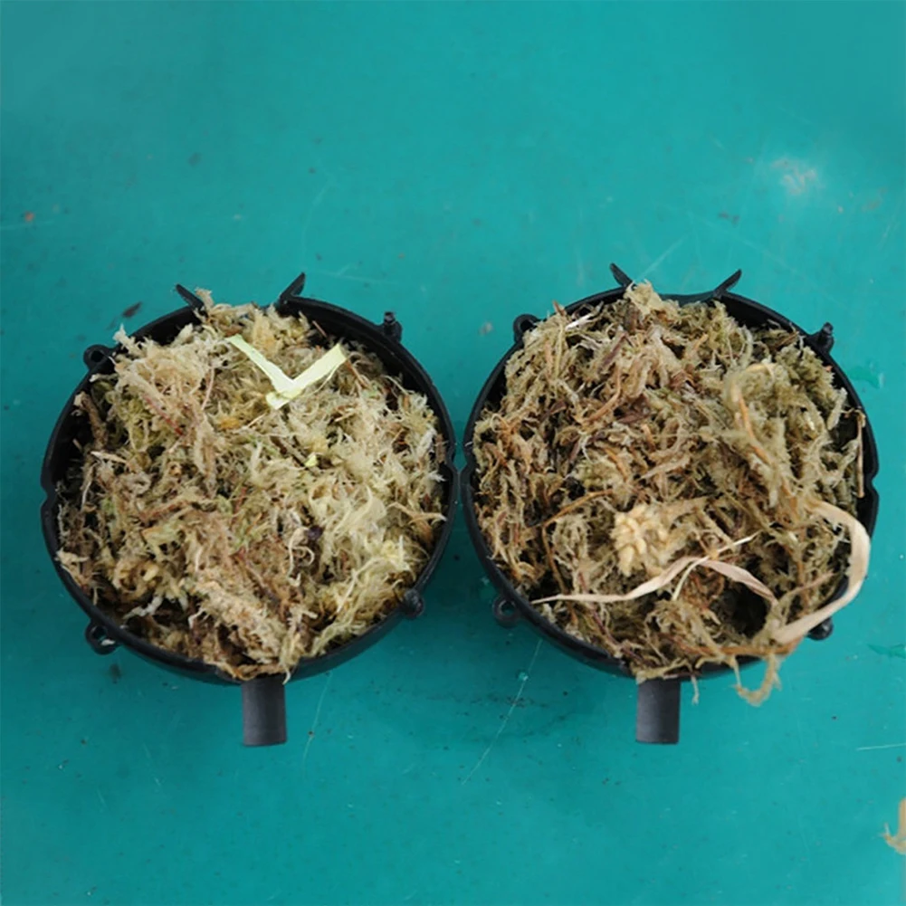 5pcs Plant Rooting Ball,with Safety Lock Garden Accessories Spherical Design ,Reusable Gardening Tools for Various Garden Plants
5pcs Plant Rooting Ball,with Safety Lock Garden Accessories Spherical Design ,Reusable Gardening Tools for Various Garden Plants