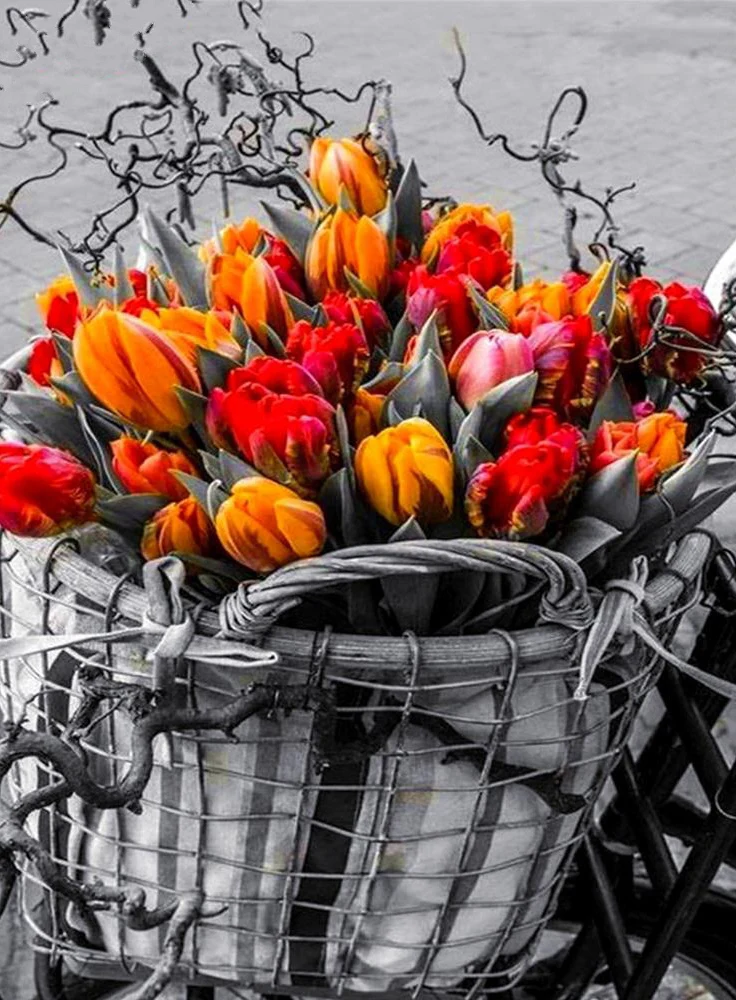 JMINE Div 5D flower basket Full Diamond Painting cross stitch kits art High Quality Floral 3D paint by diamonds
JMINE Div 5D flower basket Full Diamond Painting cross stitch kits art High Quality Floral 3D paint by diamonds