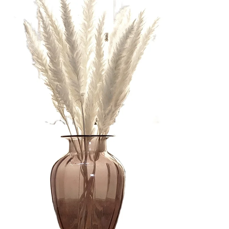 Камыш натуральный высушенный маленький пампасной травы Phragmites растения искусственные, свадебные букет для домашнего декора искусственные ...
Камыш натуральный высушенный маленький пампасной травы Phragmites растения искусственные, свадебные букет для домашнего декора искусственные ...