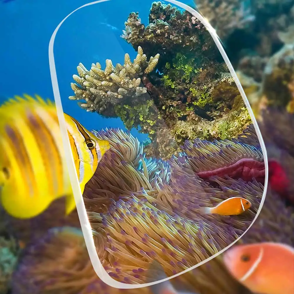 Swimming Equipment Adult Novice Scuba Diving Mask Full Face Anti Fog Underwater Snorkel Mask Set Swimming Mask For Camera 
Swimming Equipment Adult Novice Scuba Diving Mask Full Face Anti Fog Underwater Snorkel Mask Set Swimming Mask For Camera