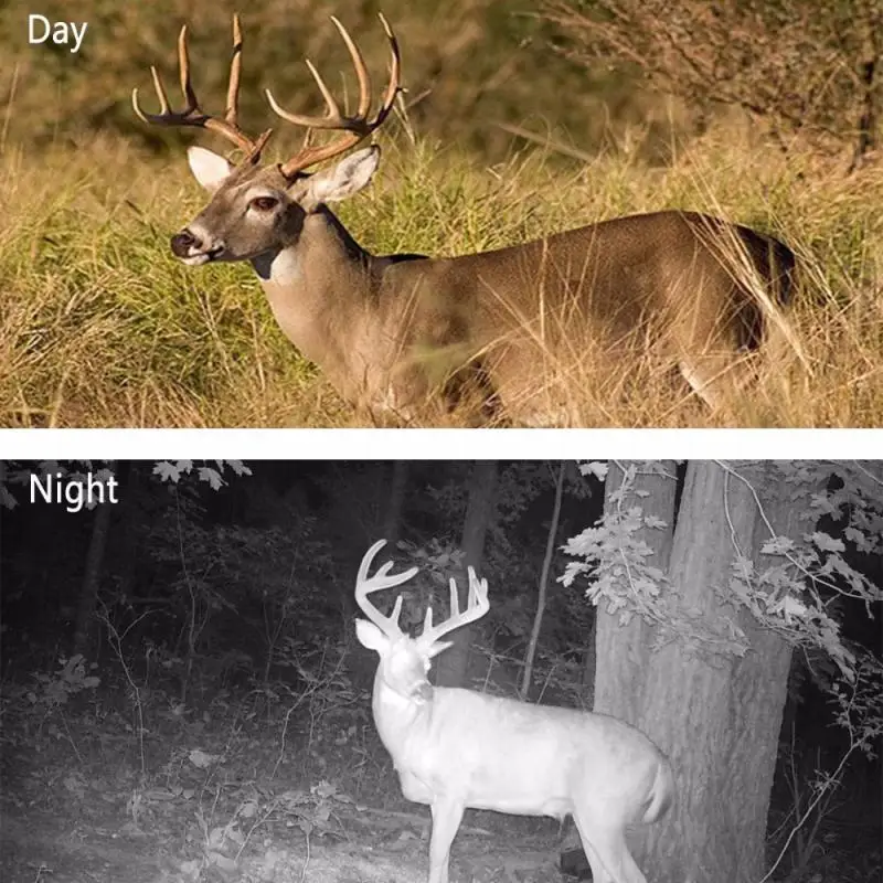 16MP 1080P Trail Hunting Camera Wild Camera Wild Surveillance Night Version Wildlife Scouting Cameras Photo Traps Track
16MP 1080P Trail Hunting Camera Wild Camera Wild Surveillance Night Version Wildlife Scouting Cameras Photo Traps Track