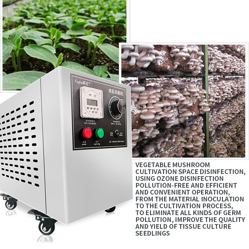 10g/h Ozone Generator ozone sterilizer special sterilization and disinfection for food factory farm storage warehouse
10g/h Ozone Generator ozone sterilizer special sterilization and disinfection for food factory farm storage warehouse