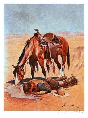 Vintage Cowboy the Water Hole Drink Water Metal Tin Sign 8x12 Inch Retro Home Room Bar Pub Shop Cafe Wall Decor
Vintage Cowboy the Water Hole Drink Water Metal Tin Sign 8x12 Inch Retro Home Room Bar Pub Shop Cafe Wall Decor