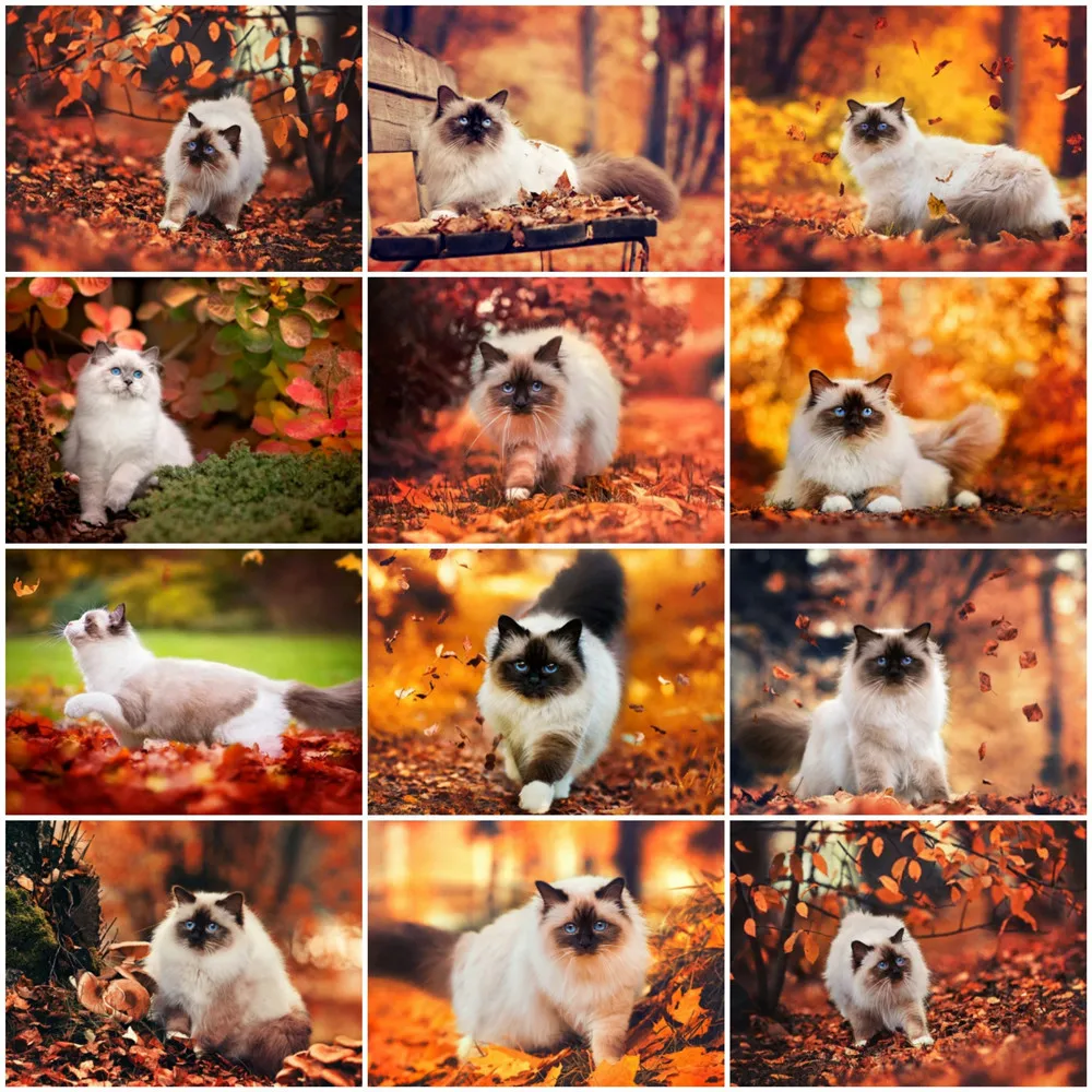 Алмазная живопись 5D «Кот» от HUACAN, животное, мозаика, вышивка крестиком на осень, украшение для дома, алмазная живопись
Алмазная живопись 5D «Кот» от HUACAN, животное, мозаика, вышивка крестиком на осень, украшение для дома, алмазная живопись