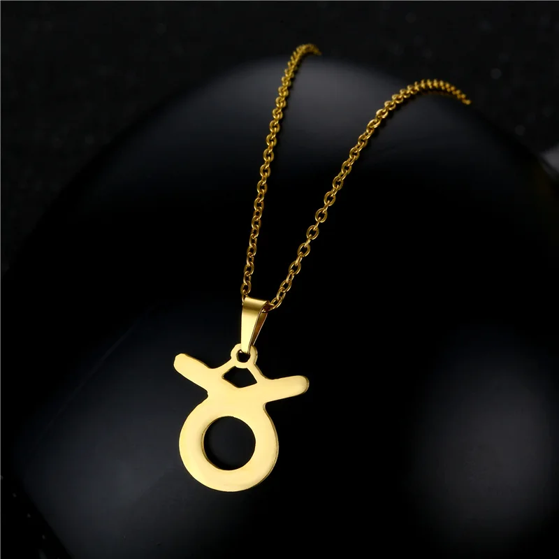 2021 Fashion Taurus 12 Constellations Series Pendant Necklaces Sets Earrings Clavicle Chain Zodiac Jewelry Wholesale
2021 Fashion Taurus 12 Constellations Series Pendant Necklaces Sets Earrings Clavicle Chain Zodiac Jewelry Wholesale