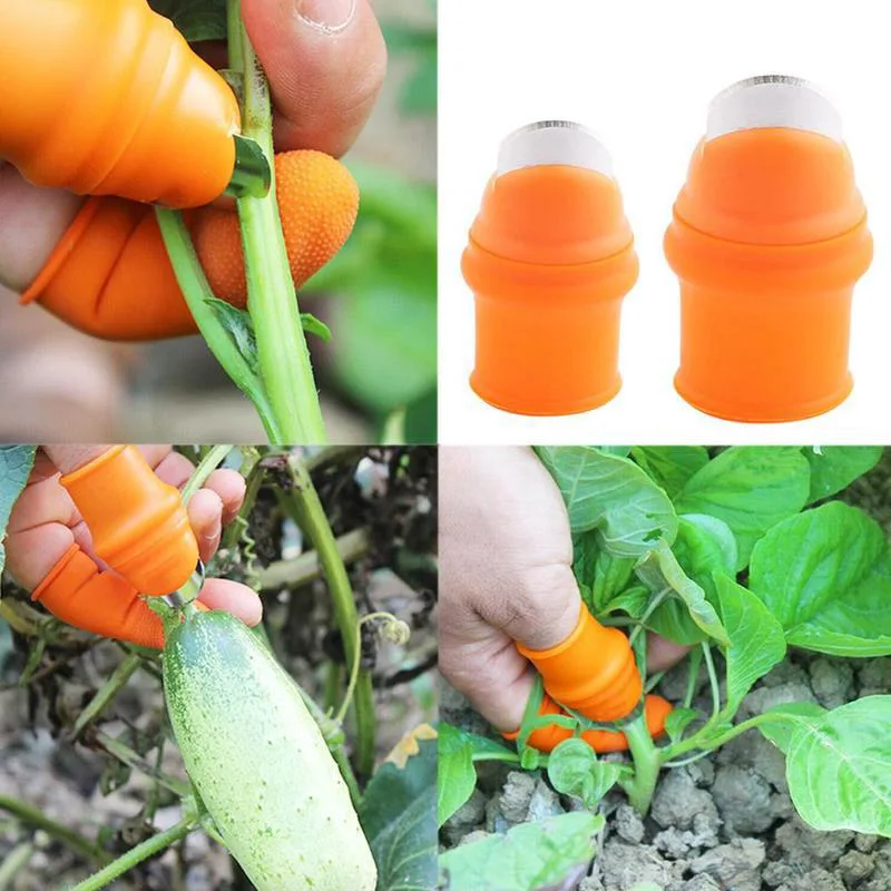 Farm Vegetable Fruit Picker Pickle Pepper Pickle Tip Picker Iron Nail Pick Grape Picker For Garden Orchard And Vegetable Patch
Farm Vegetable Fruit Picker Pickle Pepper Pickle Tip Picker Iron Nail Pick Grape Picker For Garden Orchard And Vegetable Patch