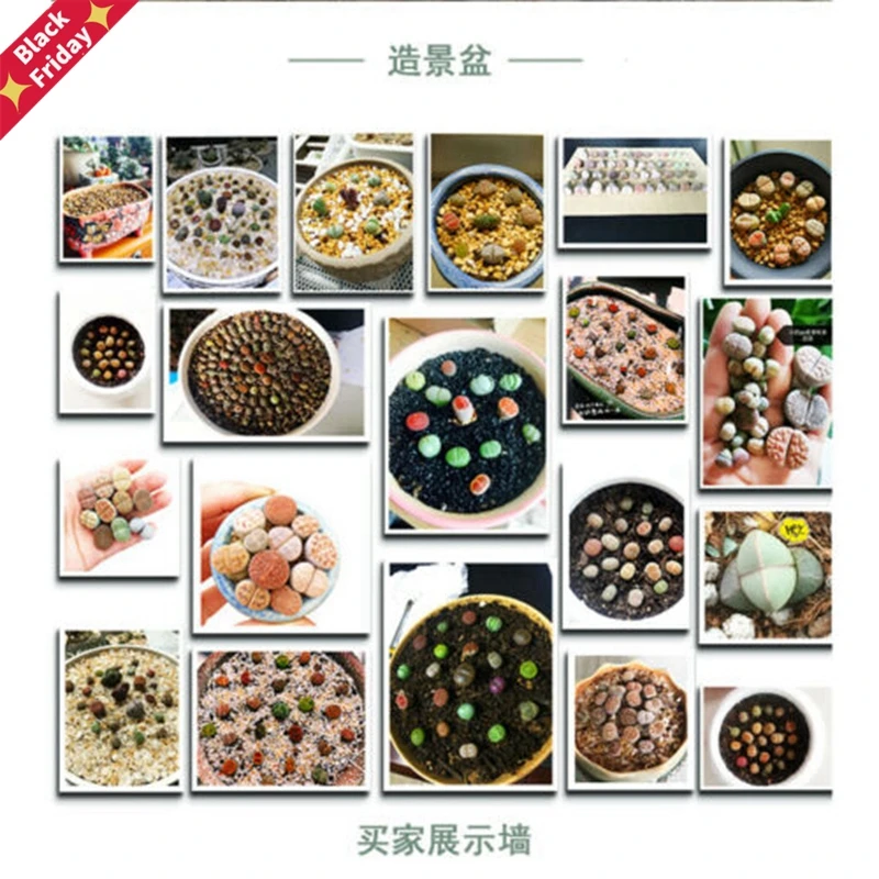 extra cost
extra cost