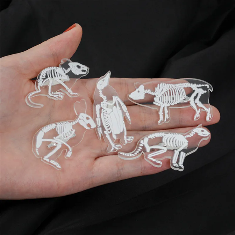 New Clear Acrylic Skeleton Animal Brooch Pins Transparent Penguin Rabbit Bird Mouse Pig Skull Cartoon Animals Broochs Jewelry
New Clear Acrylic Skeleton Animal Brooch Pins Transparent Penguin Rabbit Bird Mouse Pig Skull Cartoon Animals Broochs Jewelry