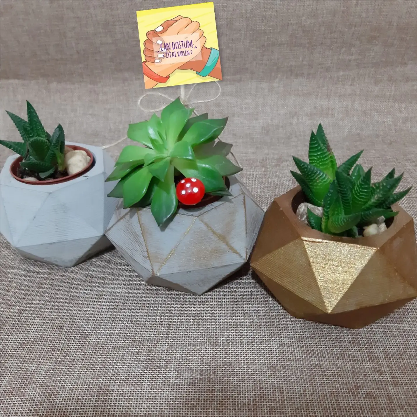 Handmade 3 Pcs Concrete Pot Set-7
Handmade 3 Pcs Concrete Pot Set-7