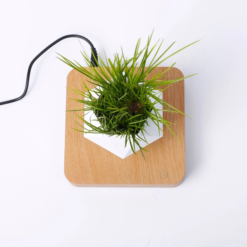 Levitating Air Bonsai Pot Magnetic Suspension Desktop Flower Gift Wireless Dimmer Table Decor 2020 Original Design Decoration
Levitating Air Bonsai Pot Magnetic Suspension Desktop Flower Gift Wireless Dimmer Table Decor 2020 Original Design Decoration