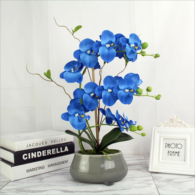 Royal Blue Artificial Flower Phalaenopsis Silk Cloth Flowerpot Butterflies Ceramics Bonsai Fake Ornaments Home Office Decoration
Royal Blue Artificial Flower Phalaenopsis Silk Cloth Flowerpot Butterflies Ceramics Bonsai Fake Ornaments Home Office Decoration