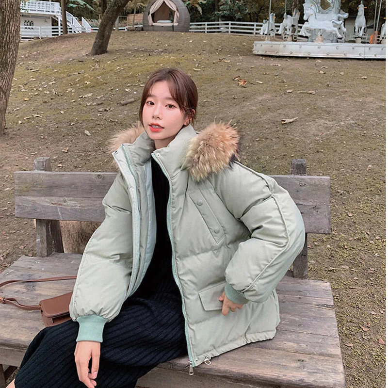Winter Down Padded Jacket Women's Short Korean Style Loose Bread Coat Cotton Jacket Small Padded Jacket Tide Winter Clothes
Winter Down Padded Jacket Women's Short Korean Style Loose Bread Coat Cotton Jacket Small Padded Jacket Tide Winter Clothes