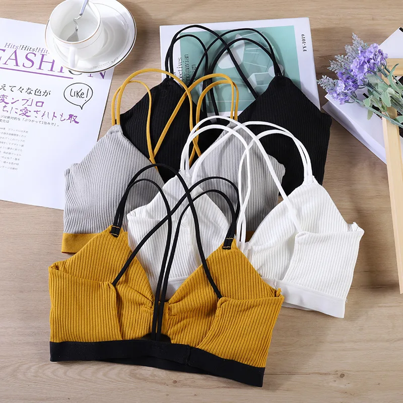 Bra Stretch Active Female Underwear Sports Top Women Wear For Bra Running Cotton Gym Wire Free Crop Top
Bra Stretch Active Female Underwear Sports Top Women Wear For Bra Running Cotton Gym Wire Free Crop Top