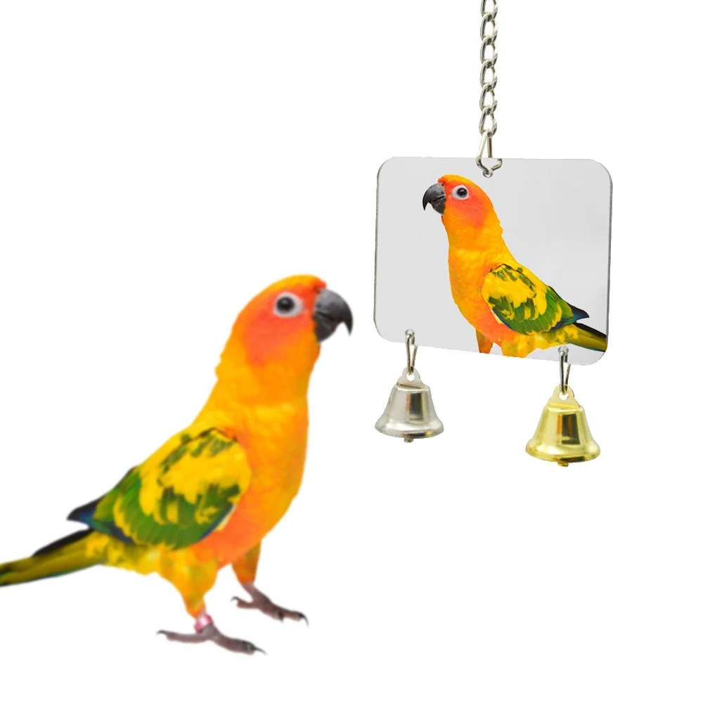 8 style Pet Toy Mirror Fun Toy For Cockatiel Parrots Small Birds Parrot Toys Pet Parrots Climb Accessories New
8 style Pet Toy Mirror Fun Toy For Cockatiel Parrots Small Birds Parrot Toys Pet Parrots Climb Accessories New