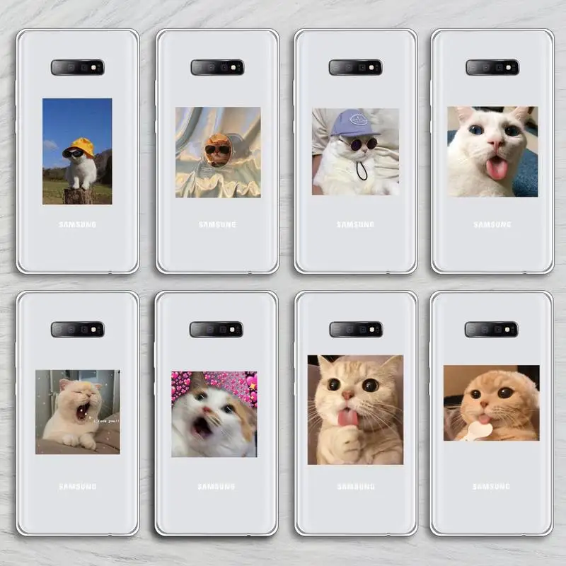 Cute British shorthair Cat Phone Case Transparent for Samsung A71 S9 10 20 HUAWEI p30 40 honor 10i 8x xiaomi note 8 Pro 10t 11
Cute British shorthair Cat Phone Case Transparent for Samsung A71 S9 10 20 HUAWEI p30 40 honor 10i 8x xiaomi note 8 Pro 10t 11