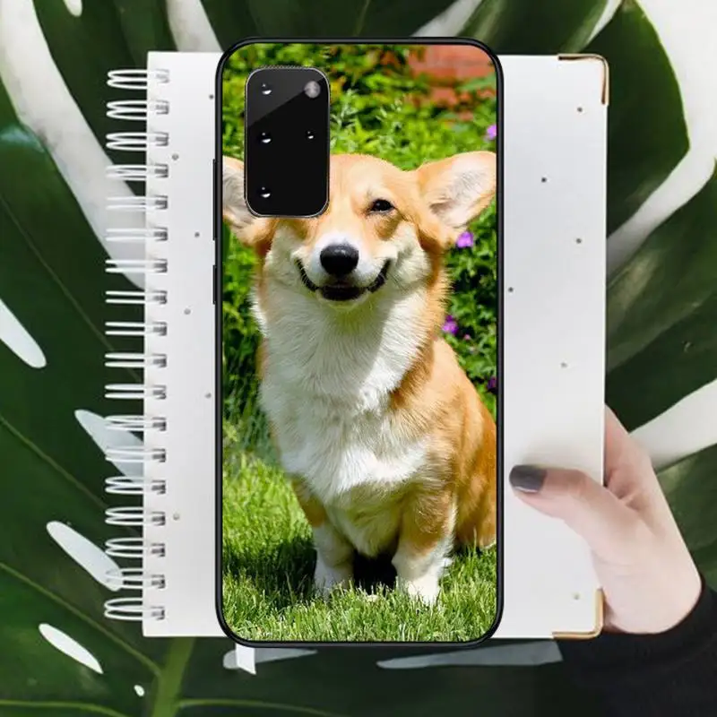 Lovely Corgi dog animal Phone Case For Samsung galaxy A S note 10 7 8 9 20 30 31 40 50 51 70 71 21 s ultra plus Luxury
Lovely Corgi dog animal Phone Case For Samsung galaxy A S note 10 7 8 9 20 30 31 40 50 51 70 71 21 s ultra plus Luxury