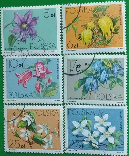 6 PCS,Poland Post Stamp,1984,Flower Stamp,Plant Stamp,Stamp Collection,Used with Post Mark
6 PCS,Poland Post Stamp,1984,Flower Stamp,Plant Stamp,Stamp Collection,Used with Post Mark