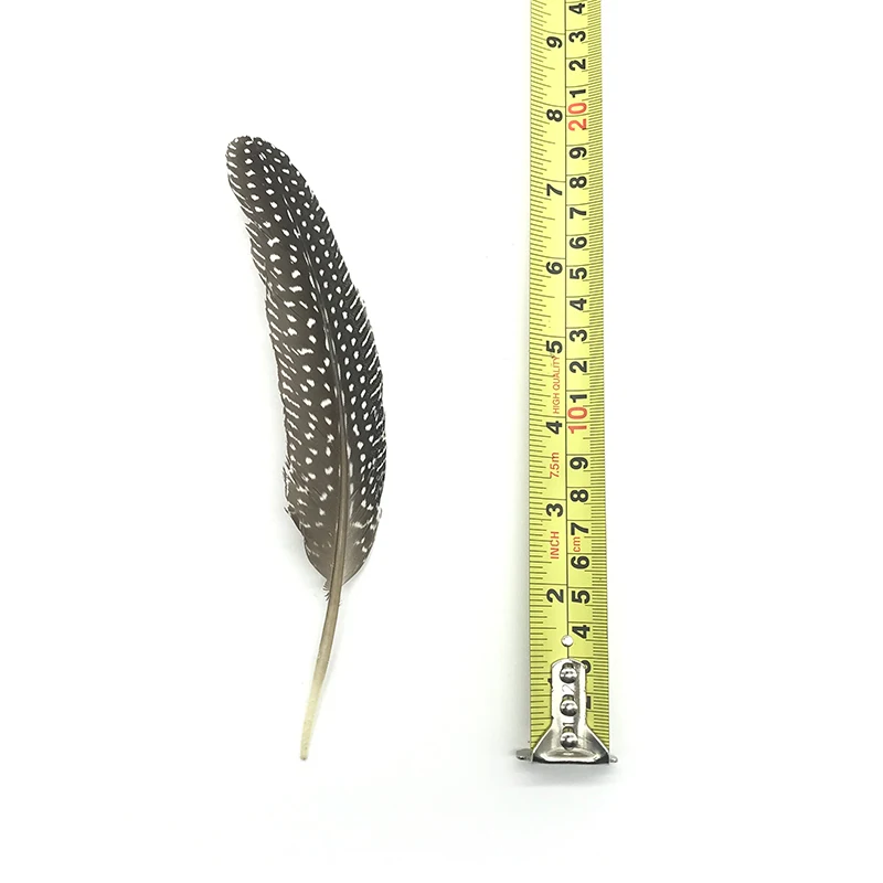 Low Price 10Pcs 15-20CM beautiful Natural pearl chicken Spotted feathers DIY crafts Clothing decorations Pheasant Feather plumes
Low Price 10Pcs 15-20CM beautiful Natural pearl chicken Spotted feathers DIY crafts Clothing decorations Pheasant Feather plumes