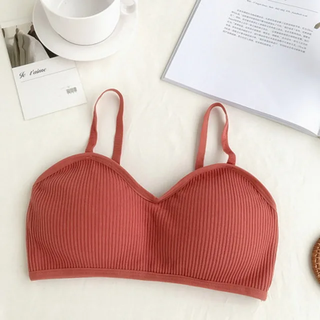 Womens Bra Push Up Activewear Women No Underwire Seamless Bra Yoga Bra Top For Fitness Top Teens Sports Bra For Women Gym 2021
Womens Bra Push Up Activewear Women No Underwire Seamless Bra Yoga Bra Top For Fitness Top Teens Sports Bra For Women Gym 2021