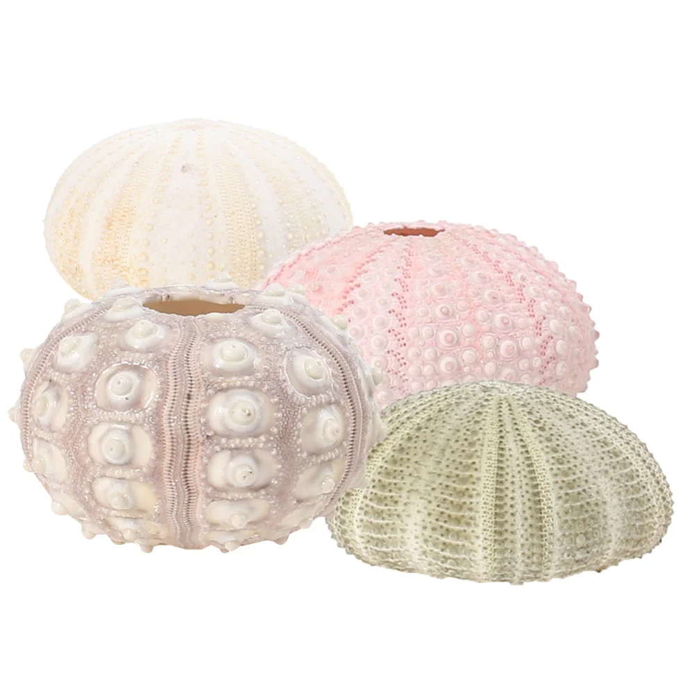 4Pcs Creative Sea Urchin Ornaments Tillandsia Cultivation Containers DIY Planting Pots for Home Shop Office
4Pcs Creative Sea Urchin Ornaments Tillandsia Cultivation Containers DIY Planting Pots for Home Shop Office