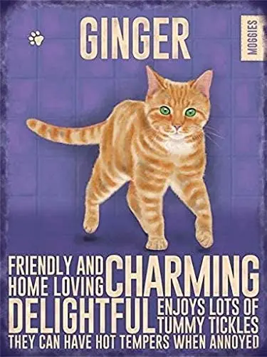 Retro Metal Tin Sign Vintage Ginger CAT Gift Aluminum Sign for Home Coffee Wall Decor 8x12 Inch
Retro Metal Tin Sign Vintage Ginger CAT Gift Aluminum Sign for Home Coffee Wall Decor 8x12 Inch